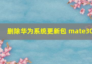 删除华为系统更新包 mate30